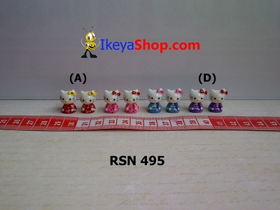 rsn 495  large2